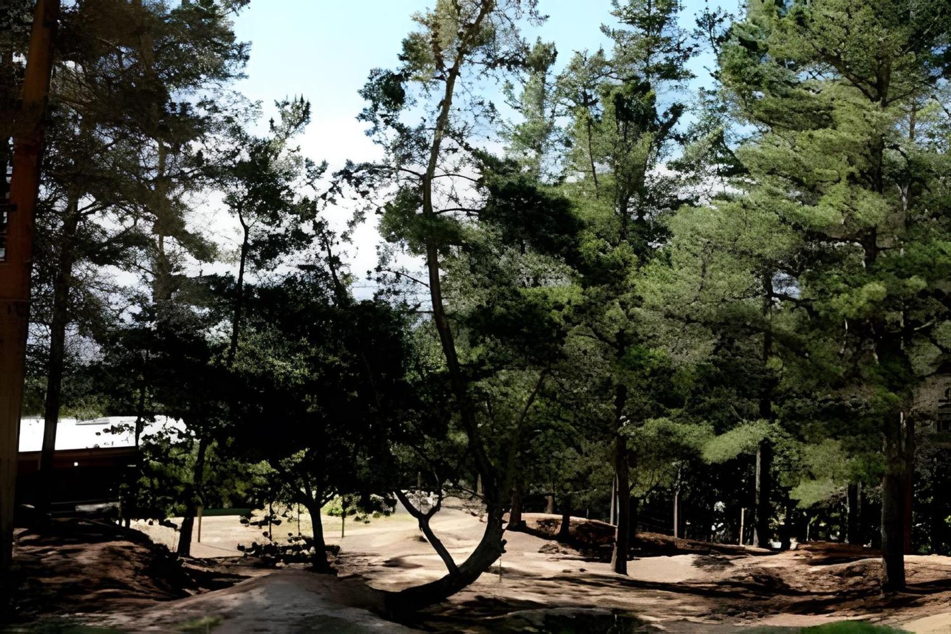 Del Cerro 1 *